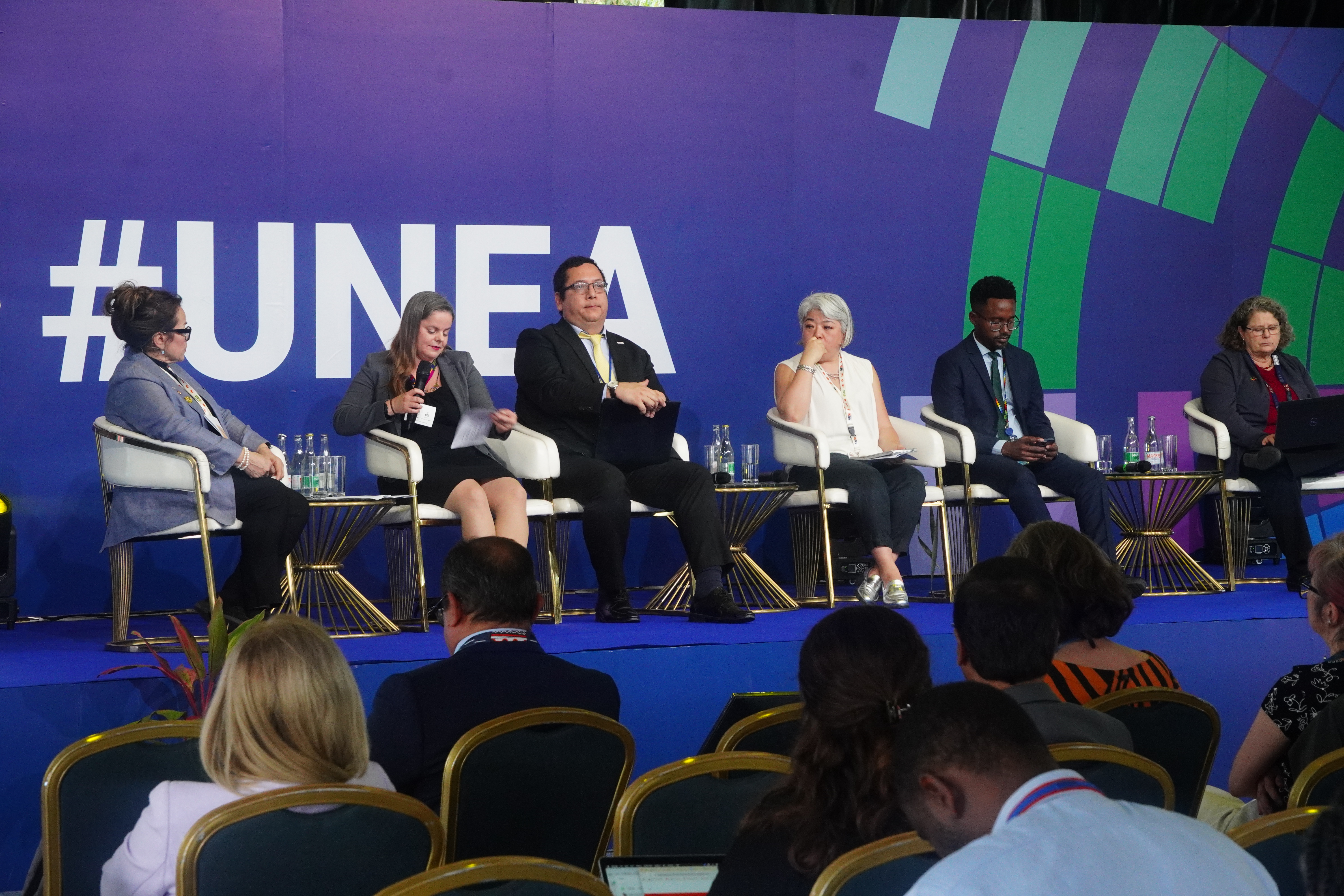 Panel discussion during the MEAS side event 