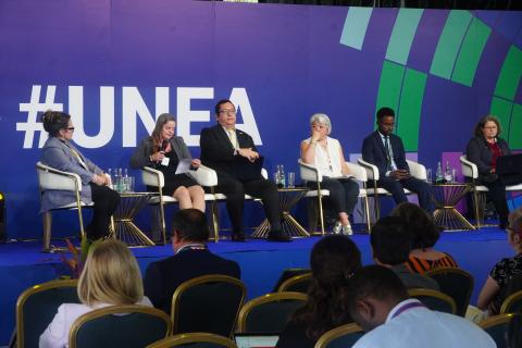 Panel discussion during the MEAS side event 