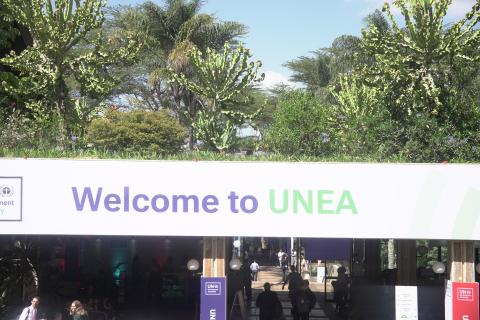 Welcome to UNEA